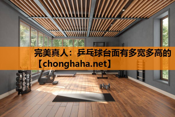 乒乓球台面有多宽多高的 乒乓球台面有多宽多高的