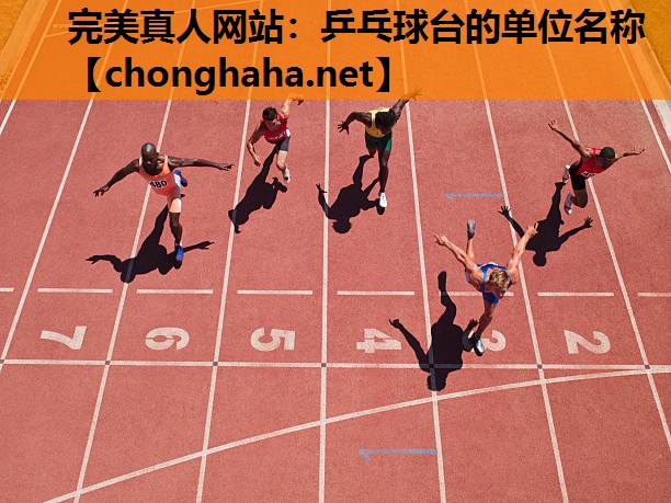 乒乓球台的单位名称 乒乓球台的单位名称