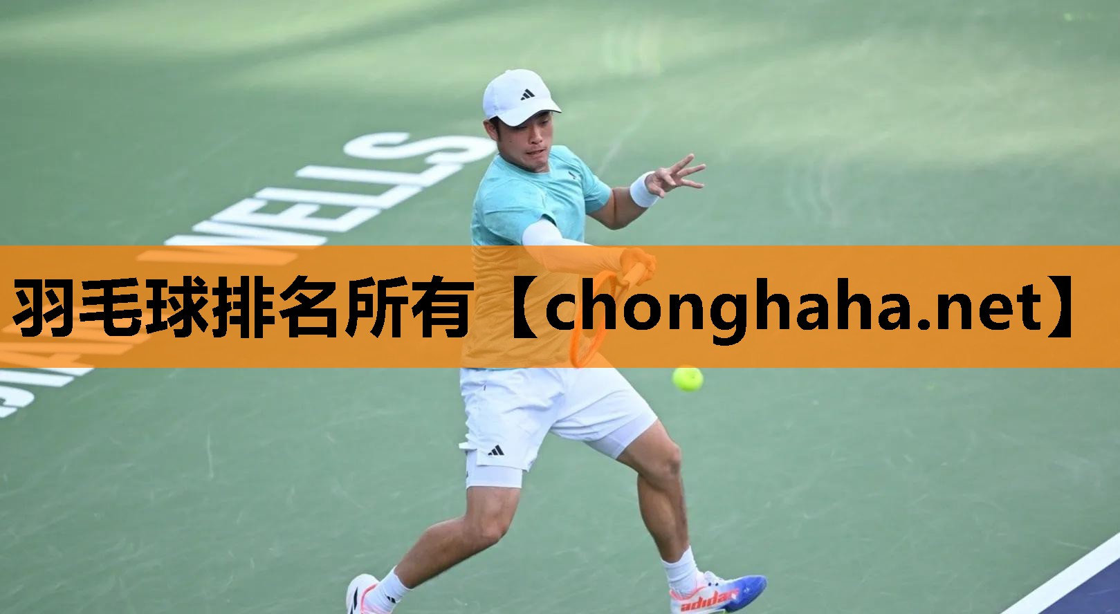 羽毛球排名所有 羽毛球排名所有