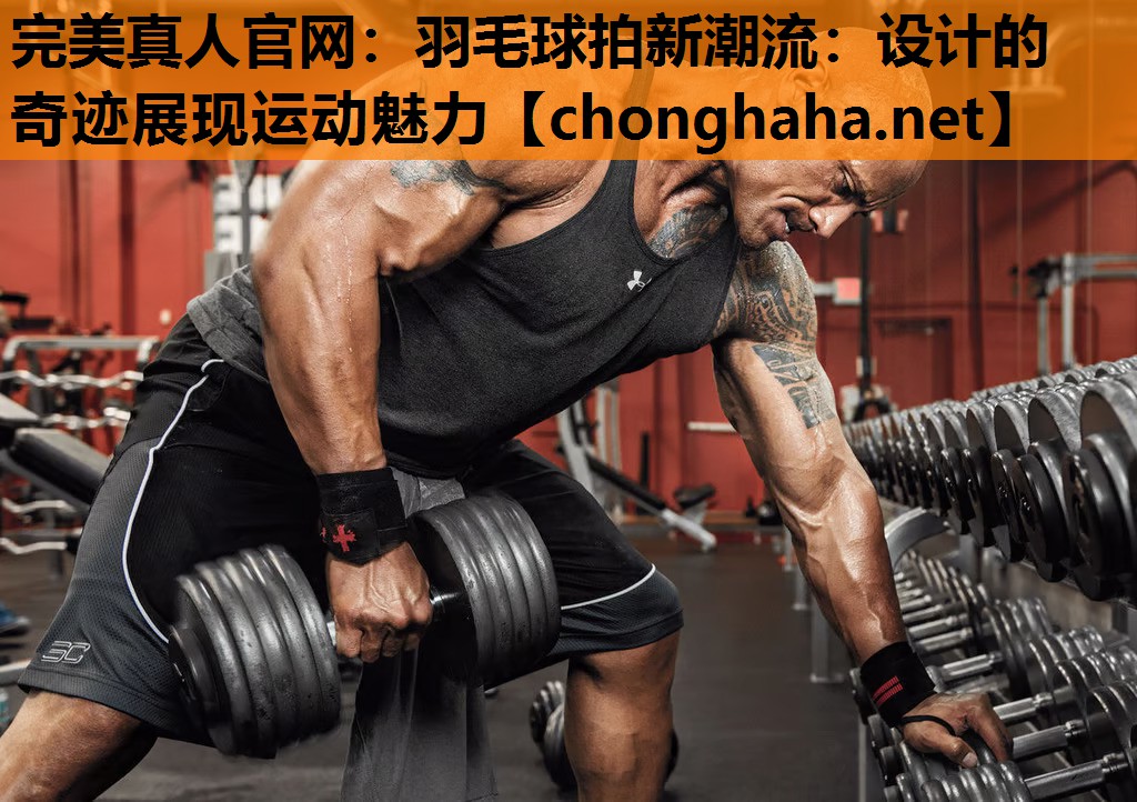 羽毛球拍新潮流:设计的奇迹展现运动魅力 羽毛球拍新潮流:设计的奇迹展现运动魅力